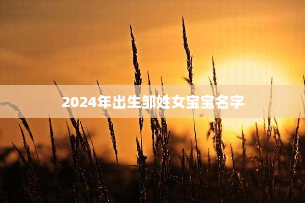 2024年出生邹姓女宝宝名字