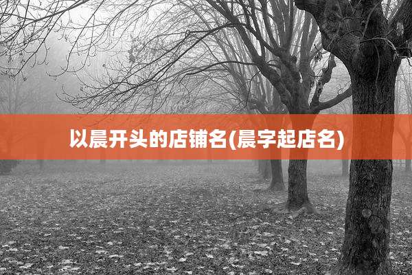 以晨开头的店铺名(晨字起店名)
