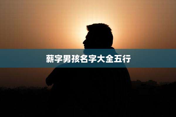 薪字男孩名字大全五行