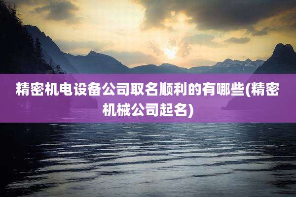 精密机电设备公司取名顺利的有哪些(精密机械公司起名)