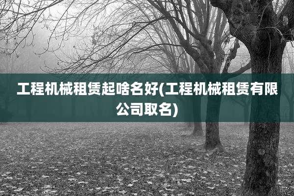 工程机械租赁起啥名好(工程机械租赁有限公司取名)