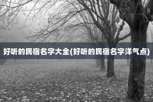 好听的民宿名字大全(好听的民宿名字洋气点)