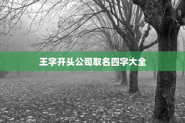 王字开头公司取名四字大全