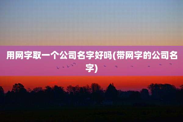 用网字取一个公司名字好吗(带网字的公司名字)