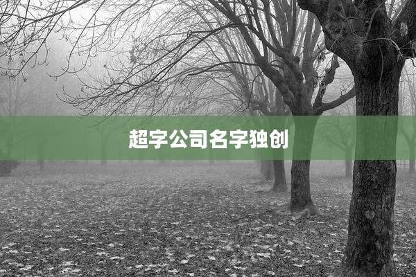 超字公司名字独创