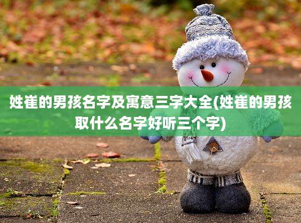 姓崔的男孩名字及寓意三字大全(姓崔的男孩取什么名字好听三个字)