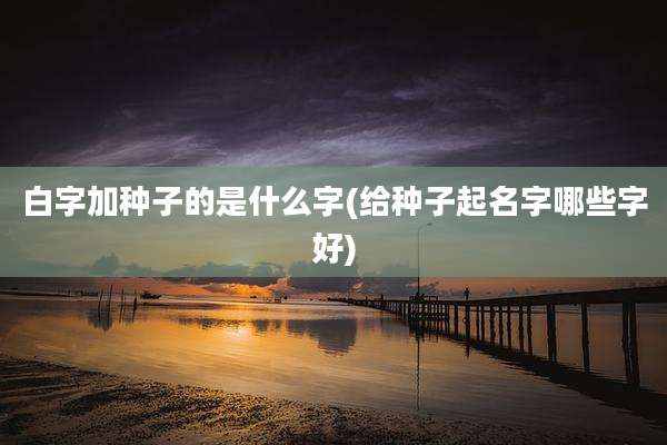 白字加种子的是什么字(给种子起名字哪些字好)