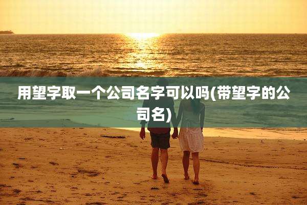 用望字取一个公司名字可以吗(带望字的公司名)