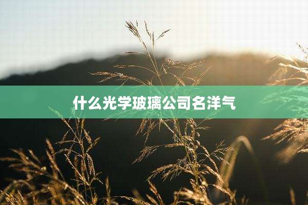 什么光学玻璃公司名洋气