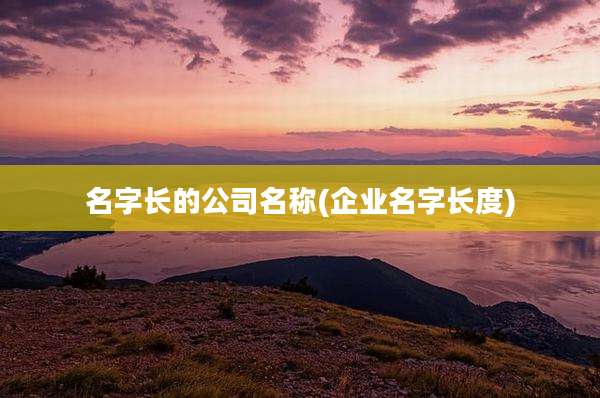 名字长的公司名称(企业名字长度)