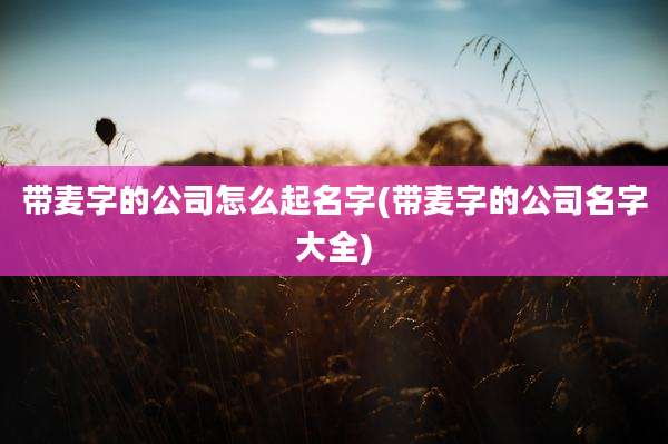 带麦字的公司怎么起名字(带麦字的公司名字大全)