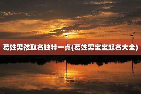 葛姓男孩取名独特一点(葛姓男宝宝起名大全)