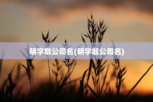 明字取公司名(明字起公司名)