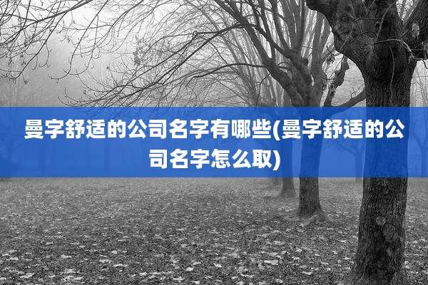 曼字舒适的公司名字有哪些(曼字舒适的公司名字怎么取)