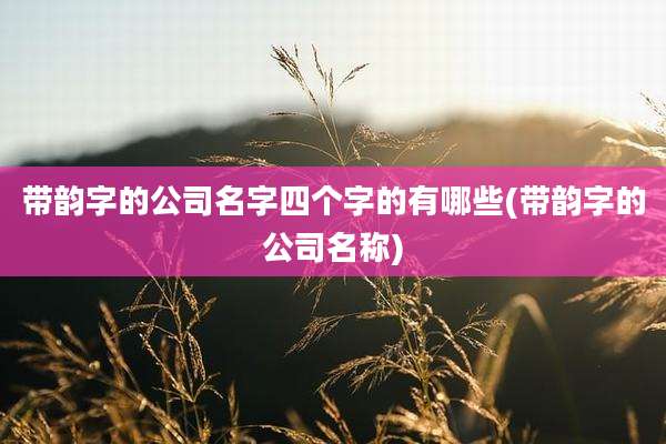 带韵字的公司名字四个字的有哪些(带韵字的公司名称)