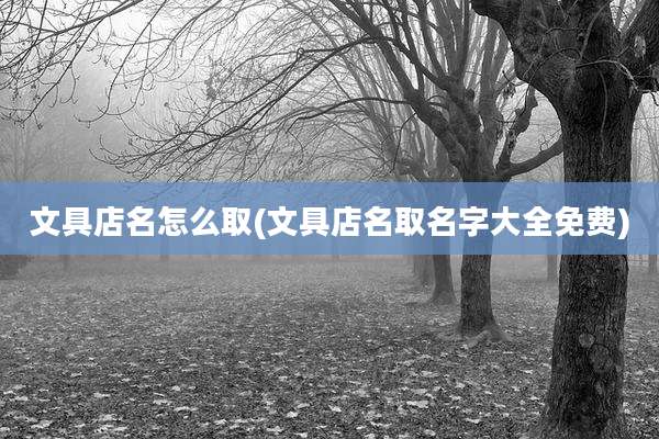 文具店名怎么取(文具店名取名字大全免费)