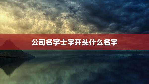 公司名字士字开头什么名字