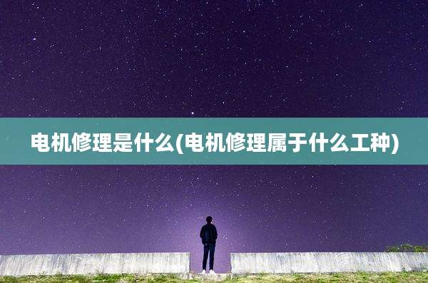电机修理是什么(电机修理属于什么工种)
