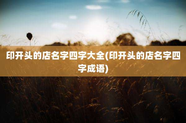 印开头的店名字四字大全(印开头的店名字四字成语)