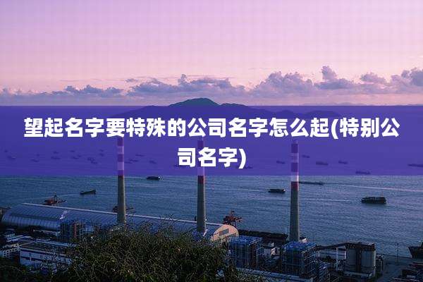 望起名字要特殊的公司名字怎么起(特别公司名字)