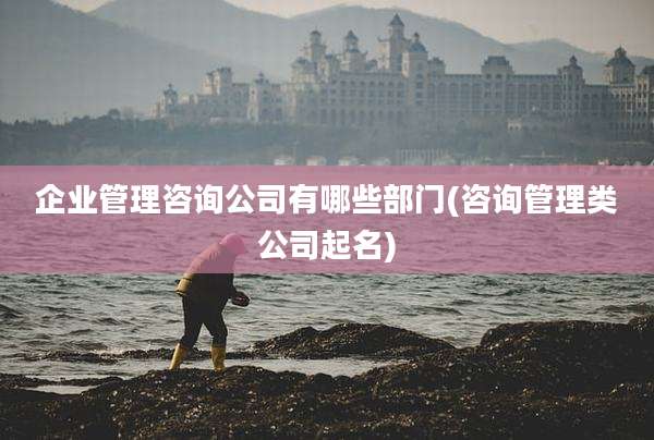 企业管理咨询公司有哪些部门(咨询管理类公司起名)