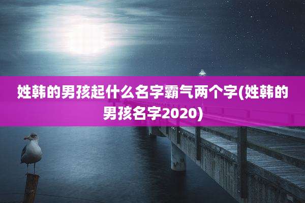 姓韩的男孩起什么名字霸气两个字(姓韩的男孩名字2020)