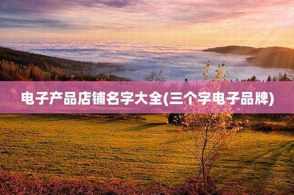 电子产品店铺名字大全(三个字电子品牌)