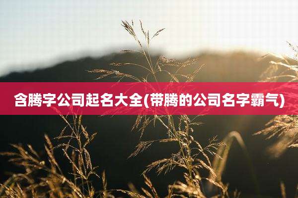 含腾字公司起名大全(带腾的公司名字霸气)