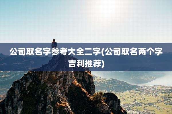 公司取名字参考大全二字(公司取名两个字吉利推荐)