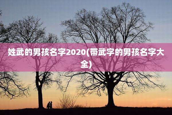 姓武的男孩名字2020(带武字的男孩名字大全)