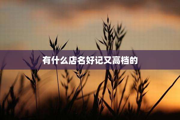有什么店名好记又高档的