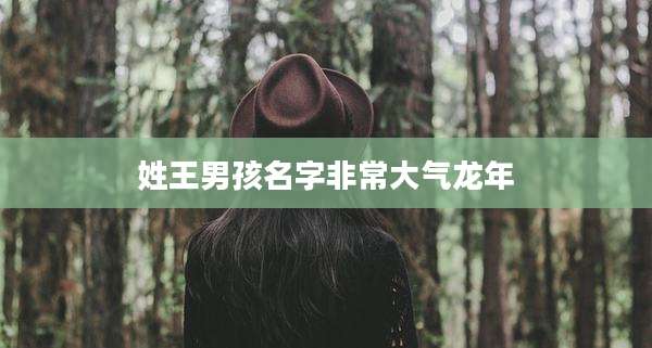 姓王男孩名字非常大气龙年