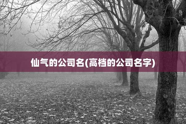 仙气的公司名(高档的公司名字)