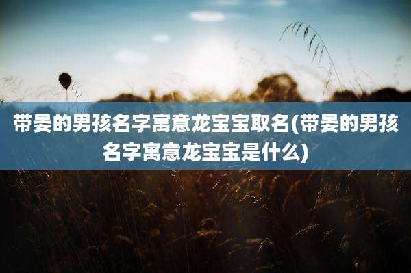 带晏的男孩名字寓意龙宝宝取名(带晏的男孩名字寓意龙宝宝是什么)