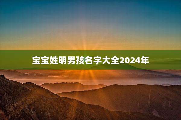 宝宝姓明男孩名字大全2024年