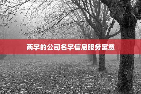 两字的公司名字信息服务寓意