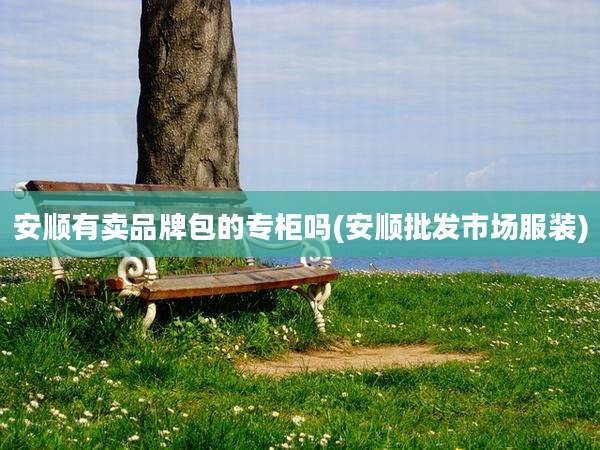 安顺有卖品牌包的专柜吗(安顺批发市场服装)