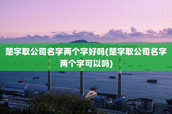 楚字取公司名字两个字好吗(楚字取公司名字两个字可以吗)