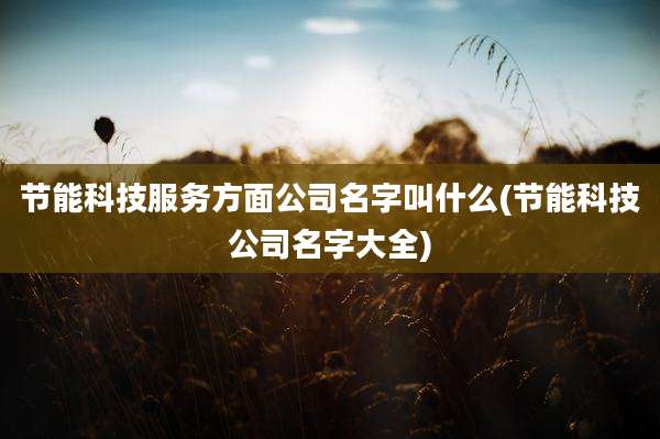 节能科技服务方面公司名字叫什么(节能科技公司名字大全)