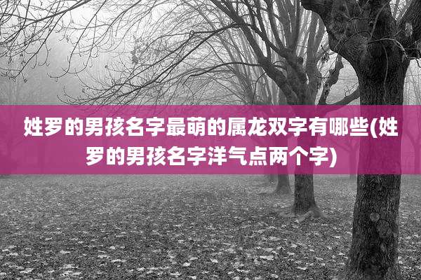姓罗的男孩名字最萌的属龙双字有哪些(姓罗的男孩名字洋气点两个字)