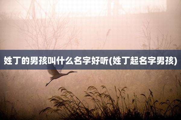 姓丁的男孩叫什么名字好听(姓丁起名字男孩)