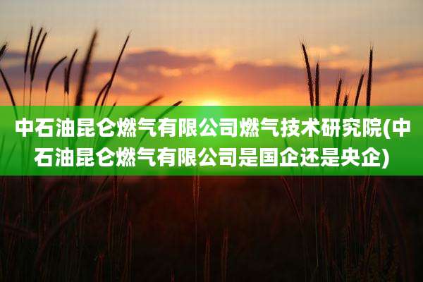 中石油昆仑燃气有限公司燃气技术研究院(中石油昆仑燃气有限公司是国企还是央企)