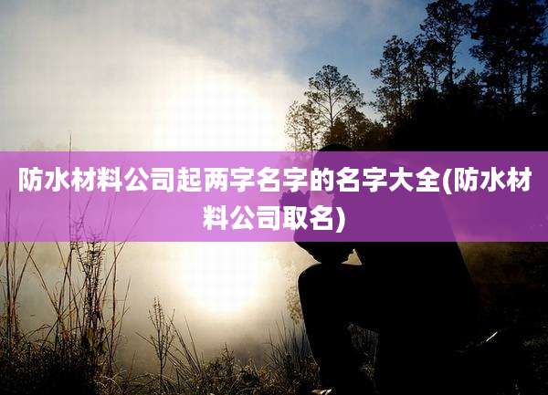 防水材料公司起两字名字的名字大全(防水材料公司取名)
