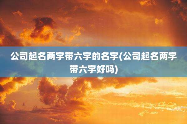 公司起名两字带六字的名字(公司起名两字带六字好吗)