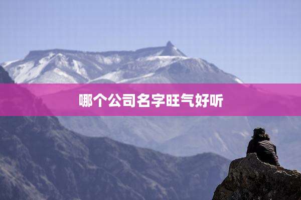 哪个公司名字旺气好听