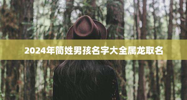 2024年简姓男孩名字大全属龙取名
