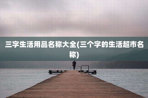 三字生活用品名称大全(三个字的生活超市名称)