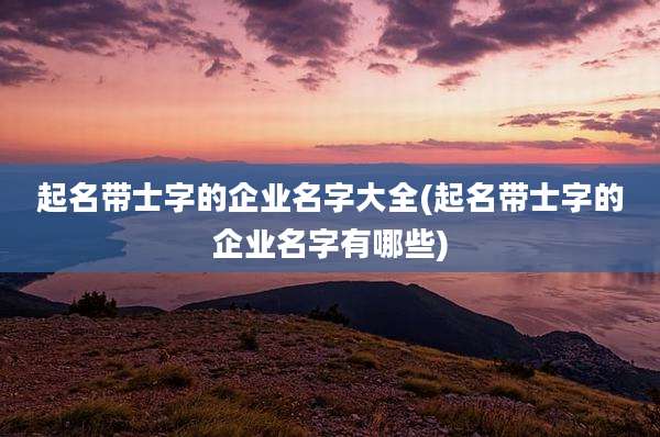 起名带士字的企业名字大全(起名带士字的企业名字有哪些)