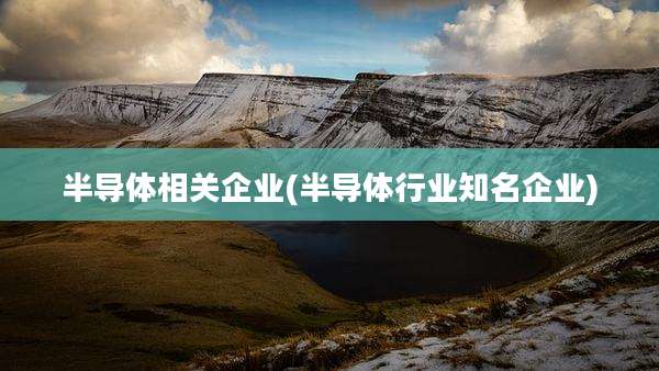 半导体相关企业(半导体行业知名企业)