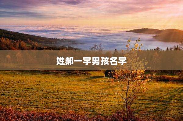 姓郝一字男孩名字